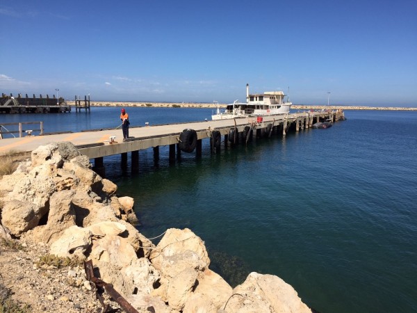 AMCM Common User Facility North Jetty Deck Repair and Pile Wrapping Specification
