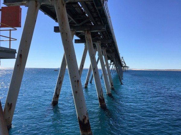 Dampier Salt  Jetty Cathodic Protection Annual Performance Review